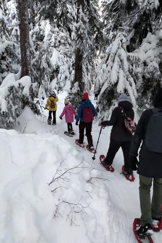 Cypress Provincial Park