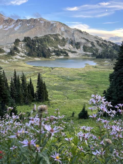 Panorama Ridge