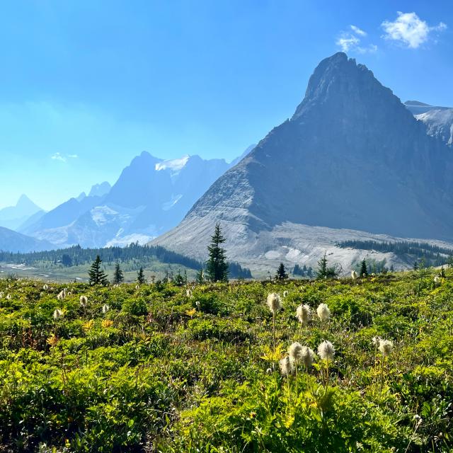 Rockwall Trail Photo Hiking Photo Contest Vancouver Trails