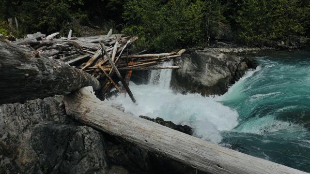 Cheakamus River Trail