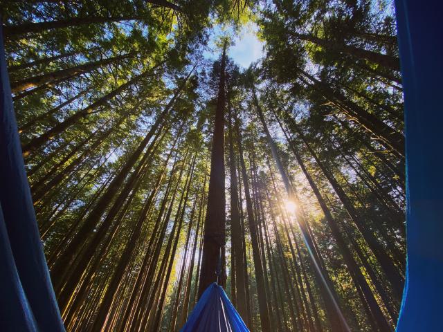 Gold Creek Campground
