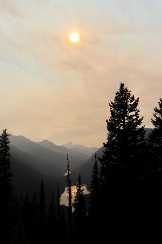 Frosty Mountain Trail