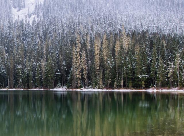 Jofrey Lake Trail