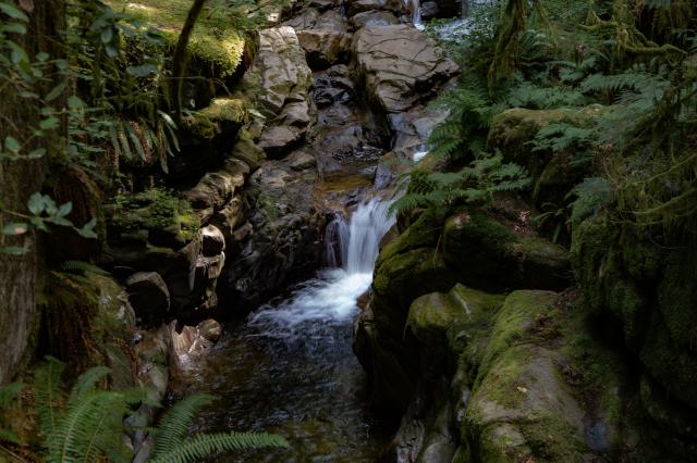 Cypress Falls