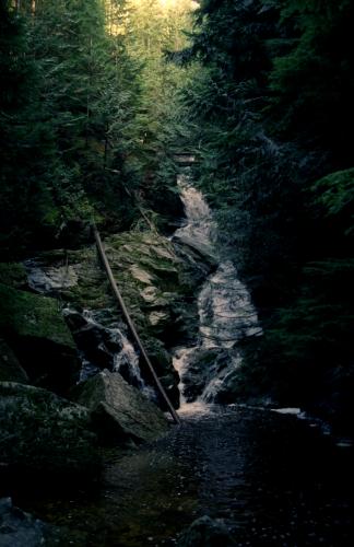 Woodland Falls