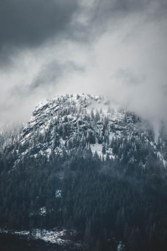 Sea To Summit Trail