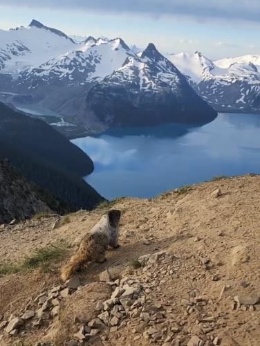 Panorama Ridge