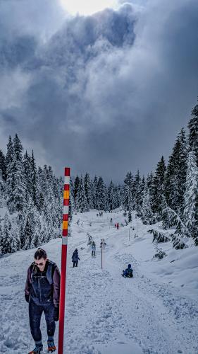 Hollyburn Peak Via Winter Access Trail