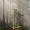 Howe sound crest trail