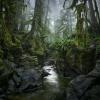 Cypress Falls Park