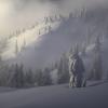 Dog Mountain Trail