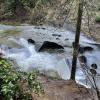 Kanaka Creek Regional Park