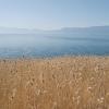 Helliwell provincial park