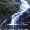 FLOOD FALLS