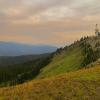 Heather Trail