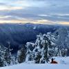 Golden Ears Summit Trail