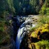 Englishman River Falls Provincial Park