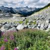 Mount Rohr