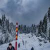 Hollyburn Peak via Winter Access Trail