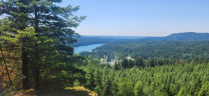 Stave Dam Forest Interpretation Trail