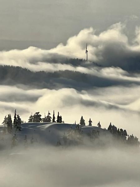 Mount Seymour