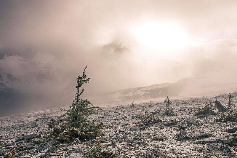 Bugaboo Cobalt Lake Trail