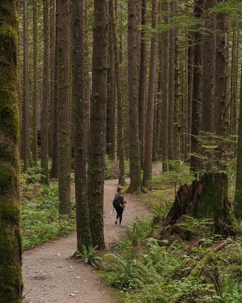 East Canyon Trail