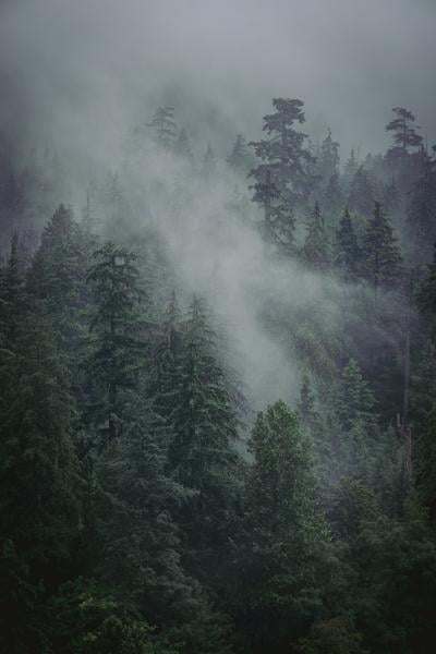 Stanley Park