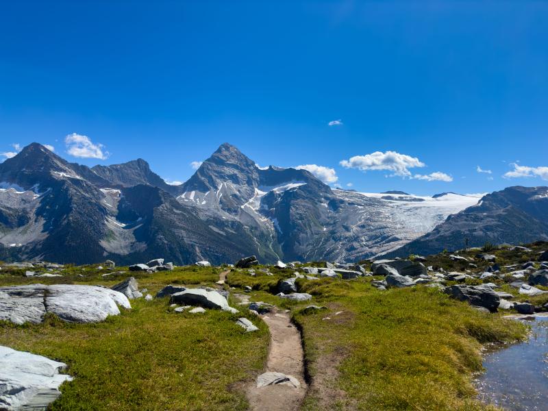 Abbott Ridge Trail