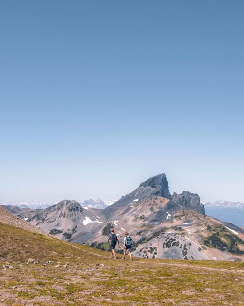 Panorama Ridge Trail