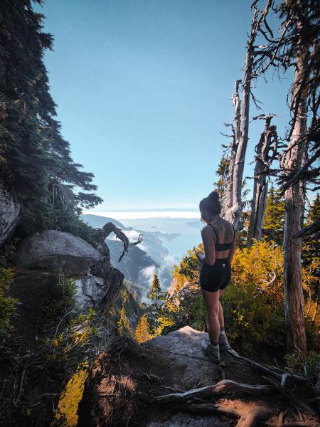St. Marks Summit