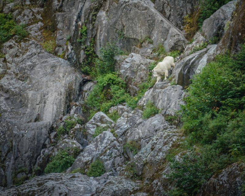 Hanes Valley Trail