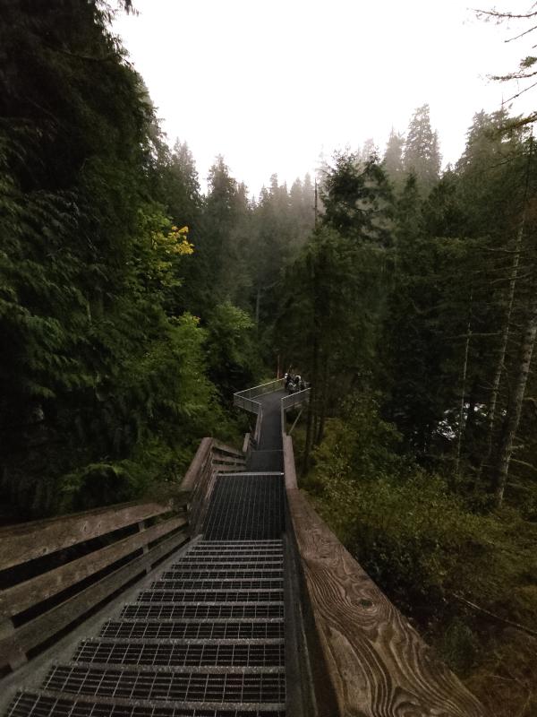 Elk Falls Viewing Platform