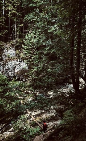 Sawblade Falls - Coquitlam Lake View