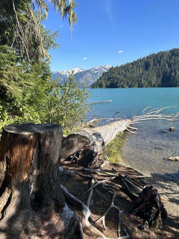 Cheakamus Lake Trail