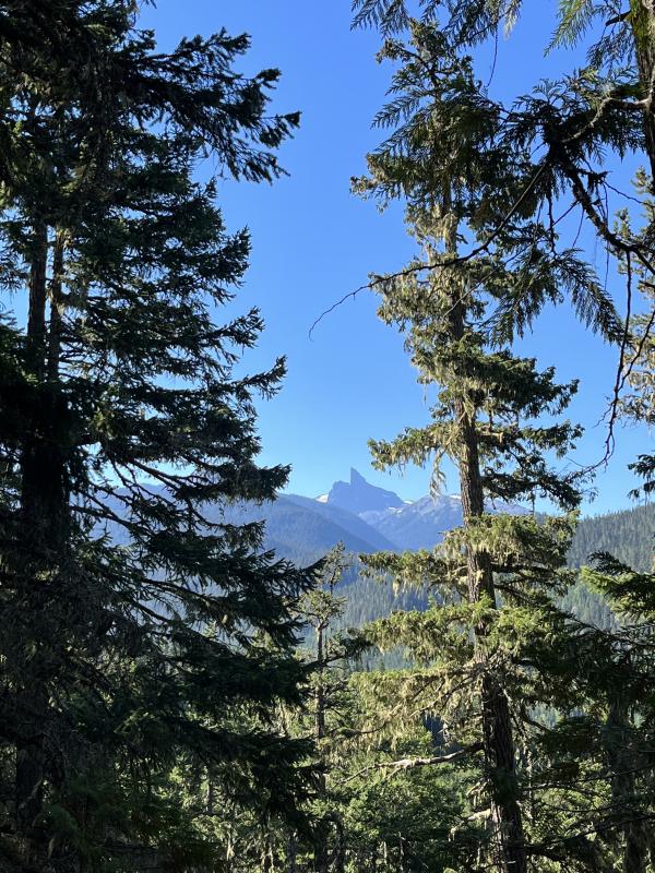 Crater Rim Trail