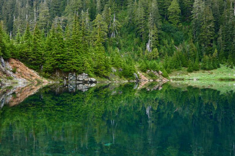 Cobalt Lake Trail