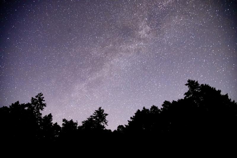 Mckenzie Bight Trail