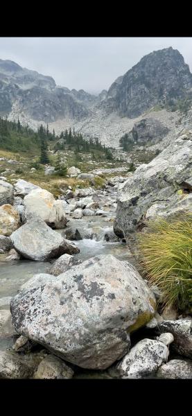Brandywine Meadows Trail