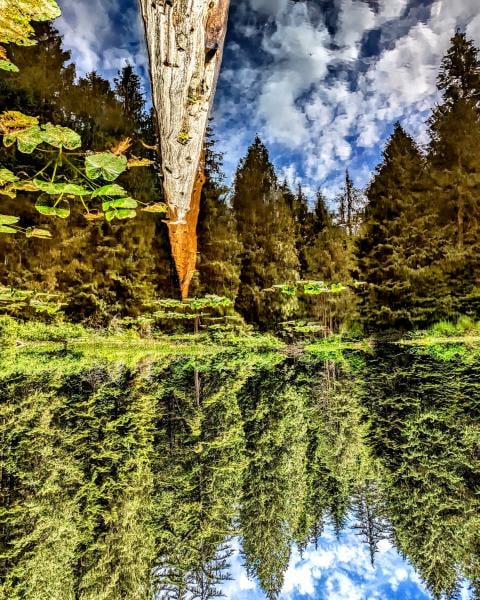 Trail To Beautiful Lake