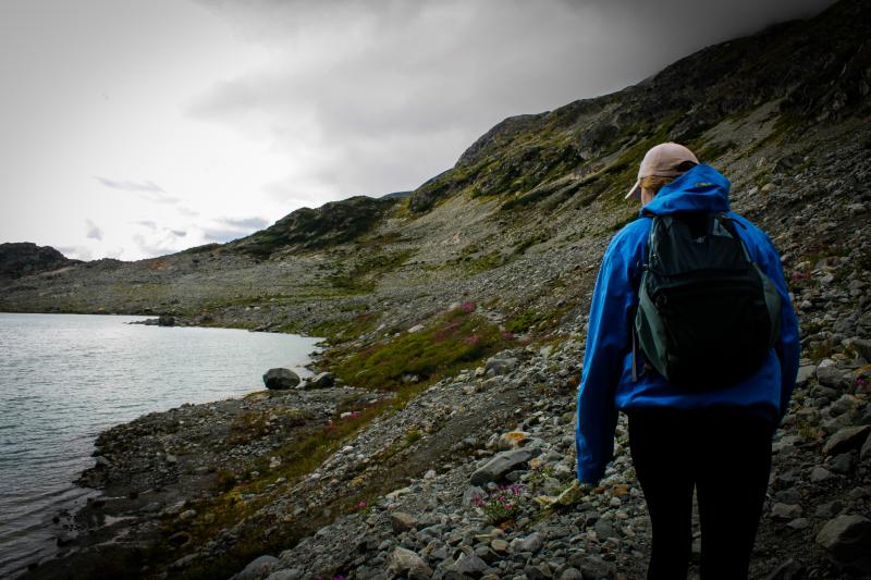 Wedgemount Lake