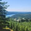 Stave Dam Forest Interpretation Trail