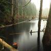 Woodhaven Swamp Loop