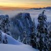 Mount Seymour Trail