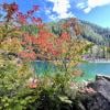 Lindeman Lake trail