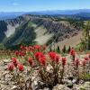 Three Brothers Mountain