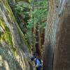 Stawamus Chief