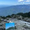 Mount Seymour trail