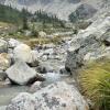 Brandywine Meadows Trail