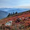 Mt Cheam